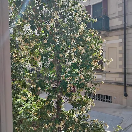 Le Melusine Grazia * Vercelli